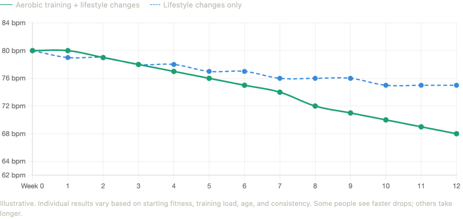 A line chart of resting heart rate over twelve weeks with two traces. Aerobic training plus lifestyle changes starts at 80 bpm, stays flat through week one, then declines steadily to about 68 bpm by week twelve. Lifestyle changes only starts at the same 80 bpm and falls more slowly, flattening out around 75 bpm from week ten.