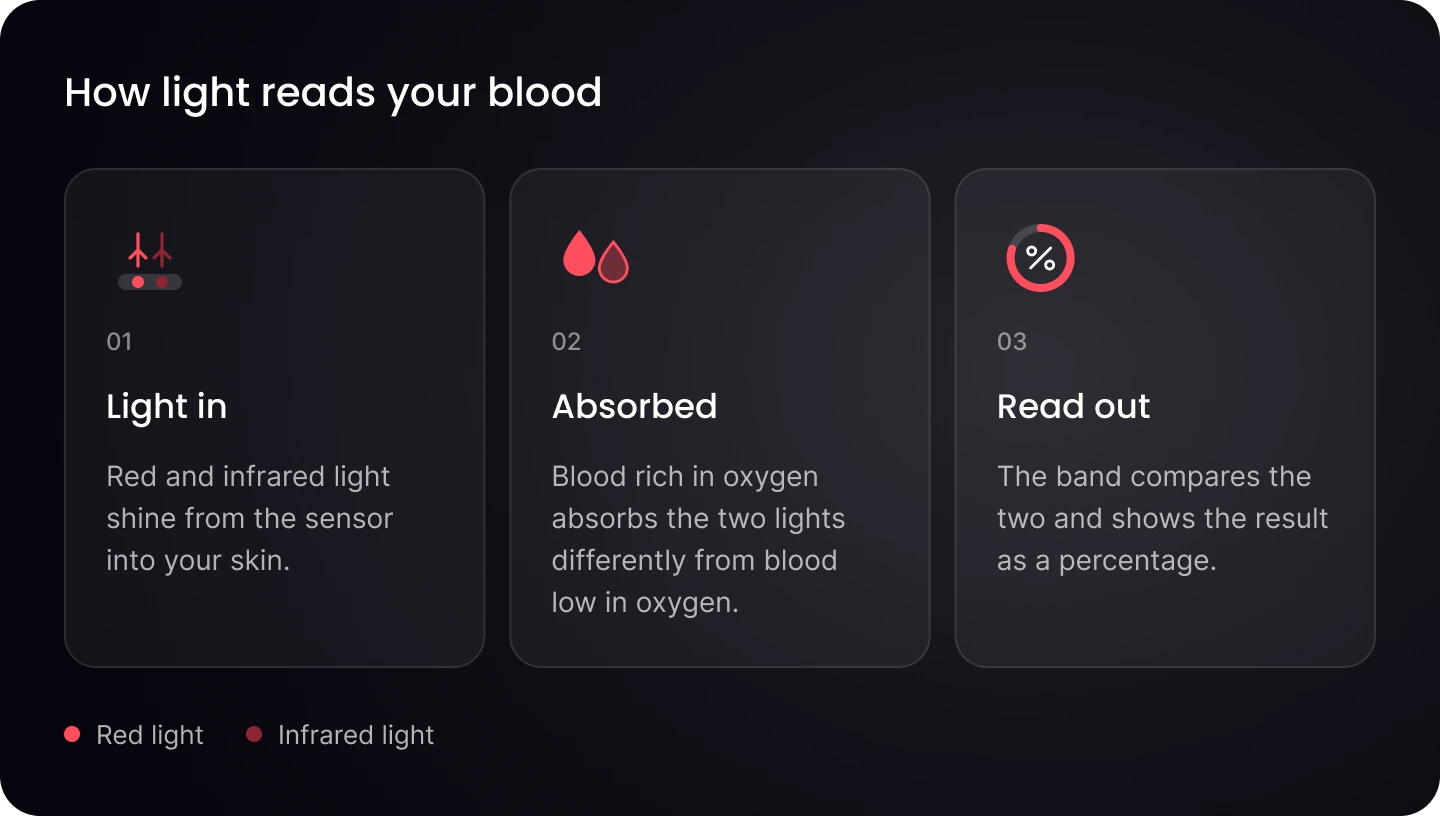 How light reads your blood, in three steps: light in, absorbed differently by oxygen-rich and oxygen-poor blood, then read out as a percentage